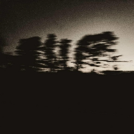 Agon (USA) : Empty Voice in the Forest